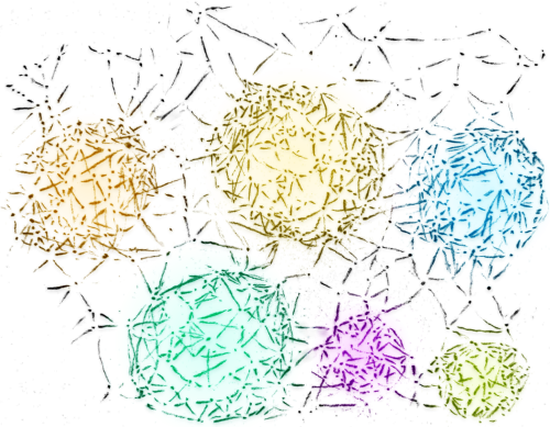 14. Commons und&nbsp;Kommunen